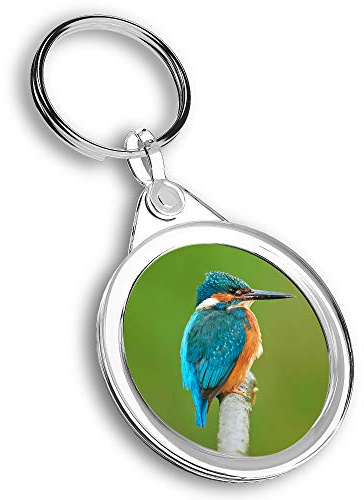 1 x Foto-Schlüsselanhänger – Kingfisher Blue kleiner Vogel | Schlüsselanhänger | Charm | #45471