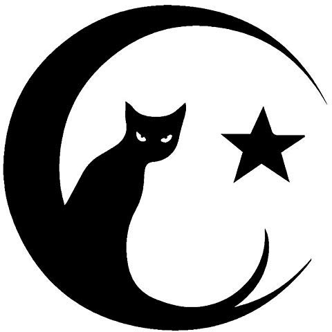 SHMAZ 15 * 15Cm Katzenaugen Moon Star Decal Stilvolle Autoaufkleber Auto Styling Truck Dekoration Schwarz/Silber