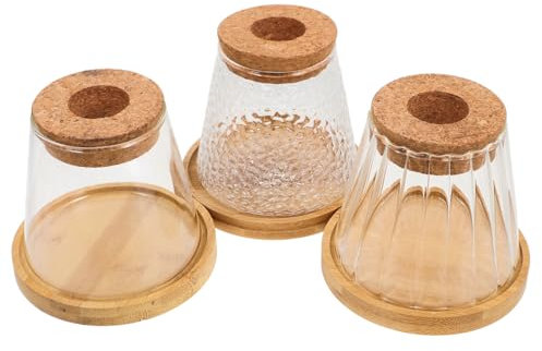 PAMINGONO 3sätze Pflanzen Terrarien Mit Untersetzer Hydroponische Vasen Für Kleine Pflanzen Geeignet Für Indoor-gartenpflege Und Stilvolle Dekoration Im Büro Und Zuhause