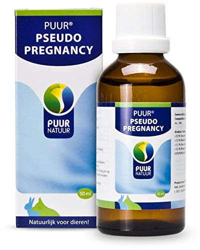Puur Pseudo Pregnancy/Schwangerschaft, 50 ml, 1 Units