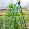 JoCome Rankhilfe - Stabiler Raster für Kletterpflanzen wie Tomaten, Gurken, Rosen & mehr. Grüner Polyethylen-Ranknetz, ideal für Gewächshaus & Balkon