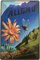 Deko7 Blechschild 30 x 20 cm Allgäu und Kleinwalsertal