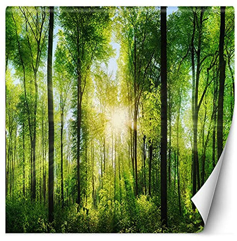 Feeby Vlies Fototapete Uv Gel Druck Bäume Sonnenschein 250x250 cm Grün Schlafzimmer Wohnzimmer Büro Hotel Flur Wald Pflanzen Natur