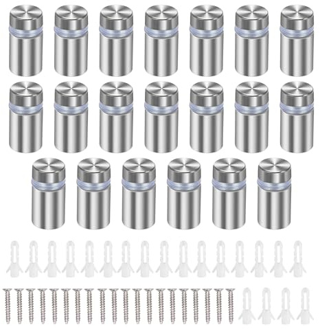 HUAZIZ 20 Piezas 12×25 mm Tornillo de Publicidad de Acero Inoxidable, Clavos de Vidrio Publicidad Tornillo Separador, Clavos de Fijación de Vidrio, con Tornillos, para Publicidad de Crista, Plata