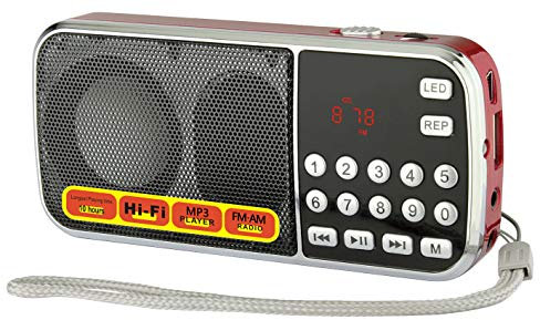 Mfine Portable Mini USB FM Radio Speaker Music Player