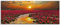 ARTland Wanddeko Glasbilder Wandbild Glas Bild einteilig 125x50 cm Querformat Natur Landschaft See Blumen Blüten Seerose Sonne Sonnenuntergang T9IA
