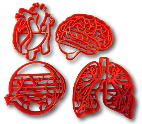 Anatomie-Ausstechformen-Set, menschliche Taschentücher, 4 Stück