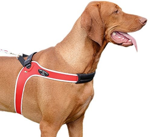 Tre Ponti - Hundegeschirr Ratschenverschluss, Rot, reflektierend, Größe 4,5
