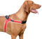 Tre Ponti - Hundegeschirr Ratschenverschluss, Rot, reflektierend, Größe 4,5