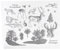 Clear Stamps Weihnachten, Stempel Weihnachten Transparent Wald Tier Thema Frischhalteversiegelung für Fotoalbum Karte