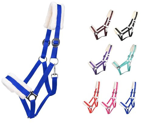 NETPROSHOP Solides Pferdehalfter gepolstert und verstellbar Gr. Mini Shetty bis Full u Kaltblut, Groesse:Cob, Farbe:Kobaltblau