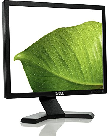 DELL E170S 17 Black - PC flat panels (LCD, TN+Film, Black, 100-240 V, 50/60 Hz, 800:1)