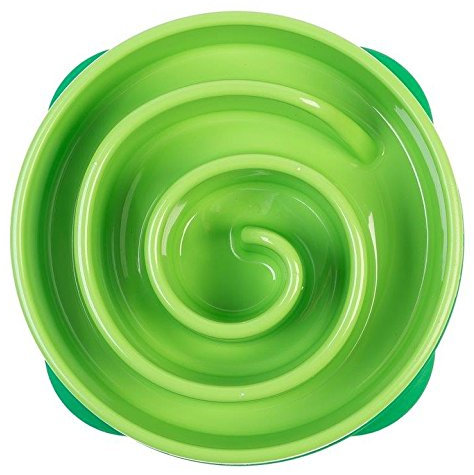 Outward Hound Interactive Slow Bowl Bloat Preventing Feeder Coral Design, Small, Green