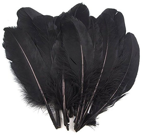 maDDma 20 Enten-Federn 15-21cm Bastelfedern Federn f. Basteln Dekoration Hüte Kostüme, Farbe:schwarz