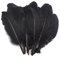 maDDma 20 Enten-Federn 15-21cm Bastelfedern Federn f. Basteln Dekoration Hüte Kostüme, Farbe:schwarz
