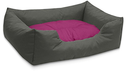 BedDog Hundebett Mimi, Hundesofa aus Cordura, Microfaser-Velours, waschbares Hundebett Vier-eckig mit Rand, Hundekissen für drinnen, draußen, XL, grau-pink