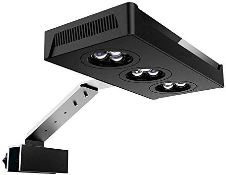 LXQIY Lampada LED Acquario Illuminazione Aquarium Lighting Nano Dimmable Planted Tank Coral Lights per 20-40CM Fish Tank Piante Acquario d'Acqua Dolce