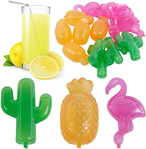 LE FROID - GLACON REUTILISABLE X15 CACTUS,ANANAS ET FLAMAND ROSE