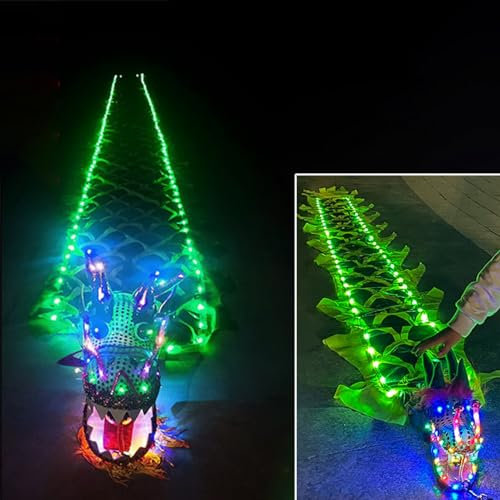 ROYUMI Jongliertücher 2 Stück LED-Drachen-Poi für Outdoor-Fitness, Grün Leuchtendes Drachenband, 3m & 8m, Eltern-Kind-Jonglierspiele für Den Garten