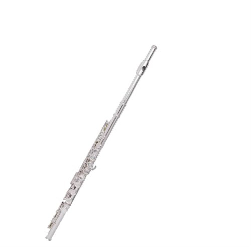 Professionelle Querflöte Flöteninstrument 16 Klappen Geschlossenes Loch C-Klappe Anfänger Leistungsprüfung(Nickel)