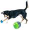 PetSafe Ricochet Electronic Dog Toys, Interactive Sound Game for Pets, Paired Electronic Squeak Toys