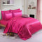 ZIMEL HOMES Parure de lit 6 pièces en satin doux et soyeux - Housse de couette, drap housse, 4 taies d'oreiller, parure de lit complète