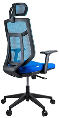 MaxxHome Silla de oficina ergonómica con soporte lumbar, reposacabezas ajustable, reposabrazos y respaldo. Silla cómoda con respaldo alto, color: Azul