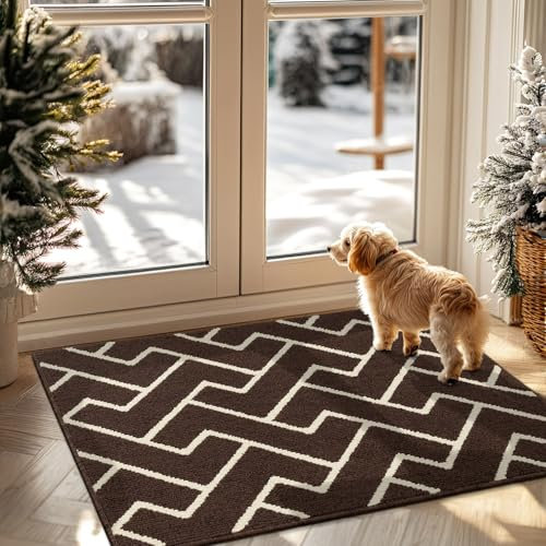 Biscpro Indoor Door Mats,80x100cm Door Mat Non Slip Backing,Dirt Trapper Mat Absorbent Non-Slip Doormat for Entrance,Inside,Kitchen,Front Back Door,Pets and Garden-Dark Brown