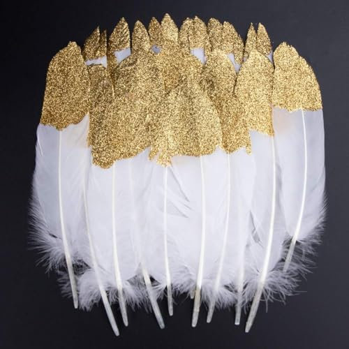 PLUSHCEWT Goldene Federn für Basteln, 40 Stück natürliche Gänsefedern mit Goldspitzen für DIY Hochzeiten, Partys, Traumfänger, Engelsflügel, Weihnachtsbaum und Feiertagsdekorationen (B)