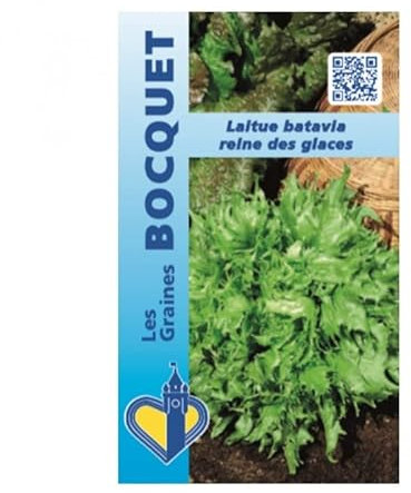Sachet de graines de Laitue batavia Reine des glaces - 4 g - légume feuille - LES GRAINES BOCQUET