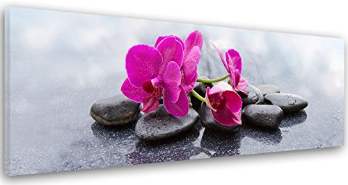 Feeby. Tableau Déco, Impression sur toile, Décoration murale, Image imprimée, 100x40 cm, ORCHIDÉE, ZEN, ROSE