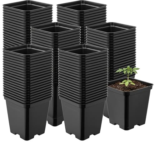 Garronda Pflanztopf Kunststoff 9 x 9 x 9,6 cm (0,5L) 100er Set eckig mit Drainagelöchern Blumentopf robust Pflanzentopf für Garten Gewächshaus Balkon Anzucht Innen Außenbereich Schwarz GD-0199