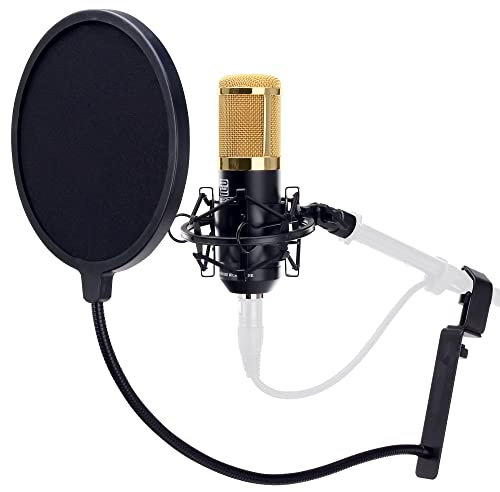 Pronomic CM-100BG Studio Großmembranmikrofon XLR-Kondensatormikrofon inkl. Popkiller Set (mit Mikrofonspinne, Etui, Windschutz, Reduziergewinde und Mikro Popschutz schwarz) schwarz
