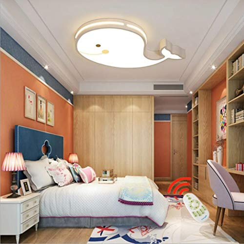 WJLL 24W Moderne LED Deckenleuchten Kinder Wal Deckenlampe Acryl Dimmen Fernbedienung Augenlampe Cartoon Kinderzimmer Deckenbeleuchtung Innenbeleuchtung[Energieniveau A ++],Weiß