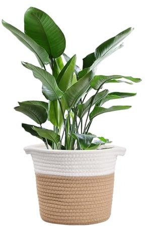 xianynow 20 x 20 cm Baumwollseil Blumenübertopf Korb - Beiger geflochtener Holzübertopf für Pflanzen, Blumentopf Pflanzenkorb Baumwollkorb