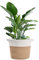 xianynow Cache-Pot en Coton Tressé de 20 x 20 cm - Cache-Pot en Bois Tressé Beige pour Plantes, Cache-Pot Panier à Plantes en Coton