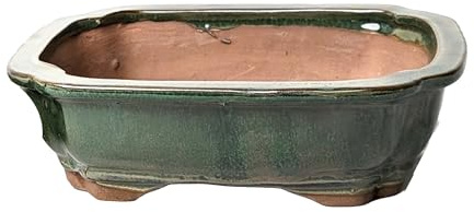 Pots à bonsaï en céramique émaillée sans plateaux (Vert, 16 cm)