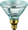 Sylvania PAR38 Halogen 60 Watt FLOOD