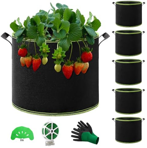 QCR 6 Stück 19L Pflanzsack Pflanzsäcke für Tomaten Mehrzweck-Vliesstoff Töpfe mit haltbaren Griffen, Garten Gewächshaus Pflanzbeutel Pflanztopf für Gemüse Obst Blumen Kräuter Sukkulenten