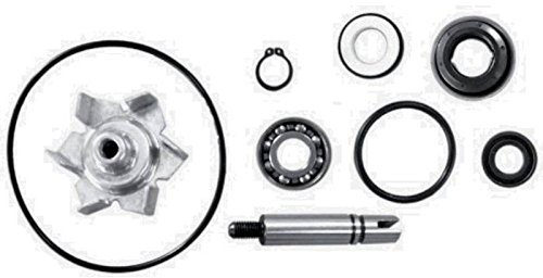 Variante Kit REVISIONE Pompa 50CC (cod 77093620 Kit Set revisione Pompa Acqua Compatibile con Motori Yamaha t-Max 500 Anno dal 2008 al 2011)