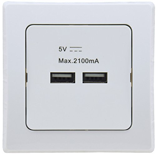 DELPHI USB Lade-Dose I 5V 2100mAh/2,1A I 2-fach I Unterputz I kombinierbar I silber für Tablet Smartphone Smartwatch I weiß