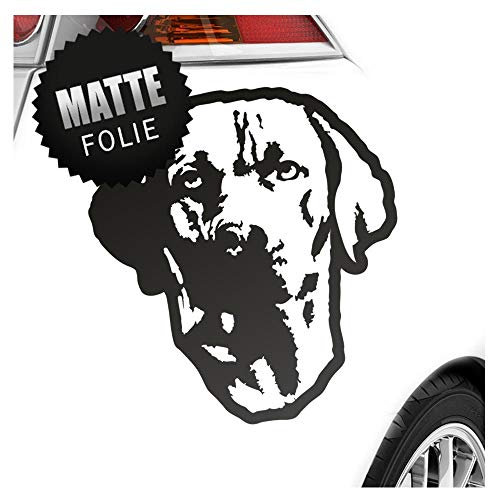 Kiwistar - Autoaufkleber - Rhodesian ridgeback Hund - Mattschwarz - 40x36cm - Aufkleber Auto, Laptop, Fahrrad, LKW, Motorrad mehrfarbig JDM Decal Racing