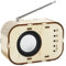 Boddceto Wissenschaftliches Experiment, Lernpuzzle, Selbstmontage, DIY-FM-Radio-Modell