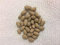 : 50+ Samen Olivenbaum (Olea europaea) Versandkosten : Seeds Only