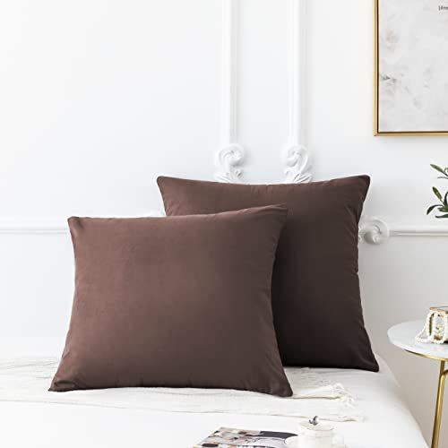 AYSW 18 Couleurs Lot 2 Taie d'oreiller 65x65 cm Café Housse Oreiller Coussin pour Canapé Lit Fermeture Éclair Anti-Acariens Hypoallergénique Protège Oreiller Zip Microfibre