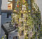 Aotlet Solar Lichterkette Aussen, Künstlicher Efeu Lichterkette 100LED 2M/6.56Ft 8 Modi Lichterkette Außen für Garten, Bäume, Terrasse, Weihnachten, Hochzeiten, Partys, Geburtstagsdeko (Warmweiß)