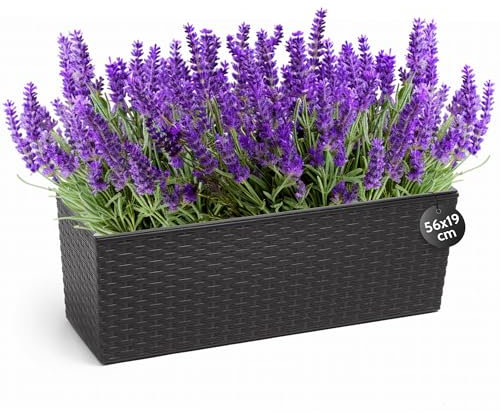 KONZEPT Hochwertige Blumenkasten Rattan-Optik in Schwarz, rechteckig 56 x 19 cm, Balkonkasten ideal fur Balkon, Terrasse, Fensterbank