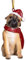 Design Toscano Christmas Ornaments, Weihnachten Mops Ferienhundeornamente