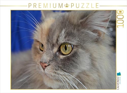 CALVENDO Puzzle Maine Coon | 1000 Teile Lege-Größe 64 x 48 cm Foto-Puzzle für glückliche Stunden