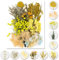 iDattel Natürliche Getrocknete Blumen,Blumen Natürliche Gemischte,DIY Natürliche Getrocknet Blumen Set für Kunst Basteln DIY Harz Scrapbooking Handwerk Karten Machen（gelb）